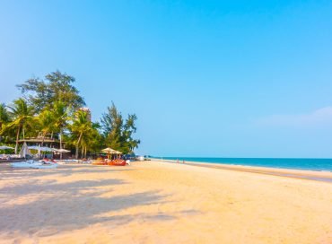 Beautiful palm tree on the beach and sea landscape background - boost up color processing