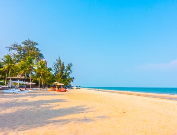 Beautiful palm tree on the beach and sea landscape background - boost up color processing