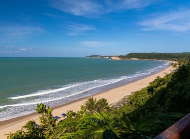 A beautiful view of the tree covered beach by the wavy ocean captured in Pipa, Brazil