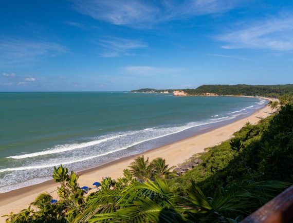 A beautiful view of the tree covered beach by the wavy ocean captured in Pipa, Brazil